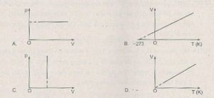 Giải bài tập Vật lý 10 SBT bài 31