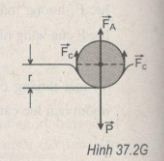 Giải bài tập Vật lý 10 SBT bài 37