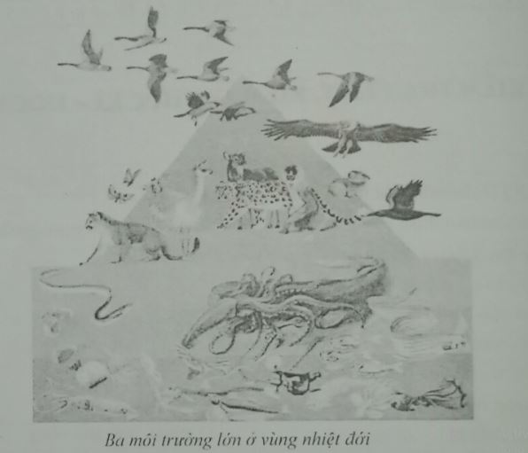 Đề kiểm tra Sinh học 7