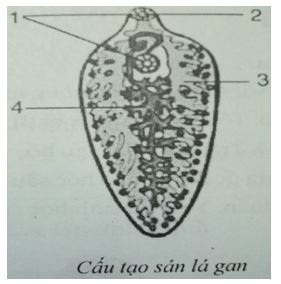 Đề kiểm tra Sinh học 7