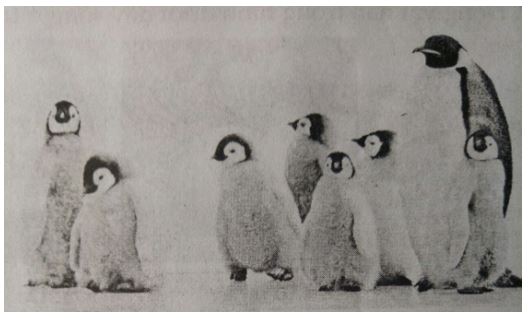 Đề kiểm tra Sinh học 7