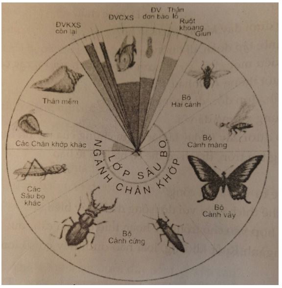 Đề kiểm tra Sinh học 7