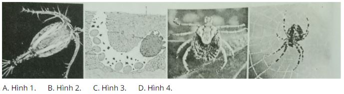 Đề kiểm tra Sinh học 7