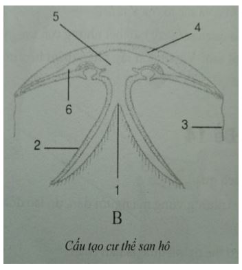Đề kiểm tra Sinh học 7