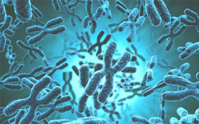 Trắc nghiệm Kiến thức chung 