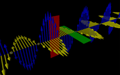 Trắc nghiệm Kiến thức chung 