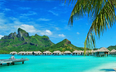 Trắc nghiệm Kiến thức chung 