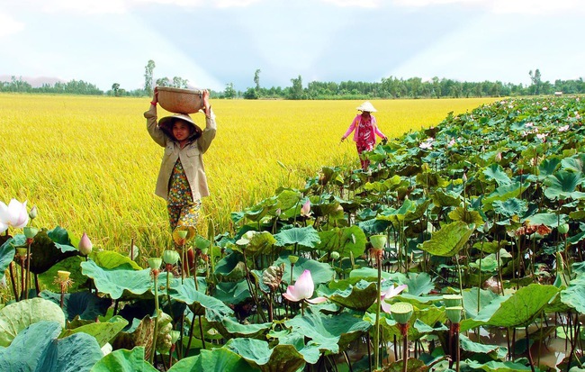 Tả cảnh đẹp ở địa phương