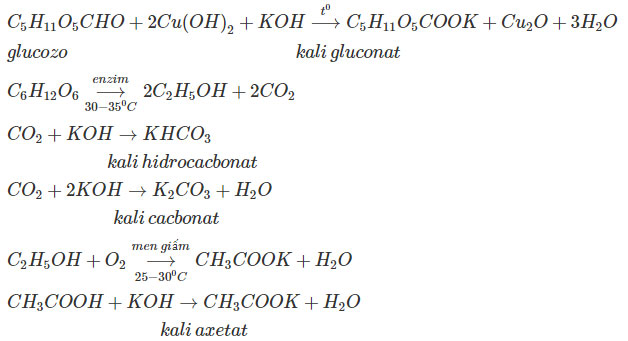  Giải bài tập Hóa học 12 SBT bài 5