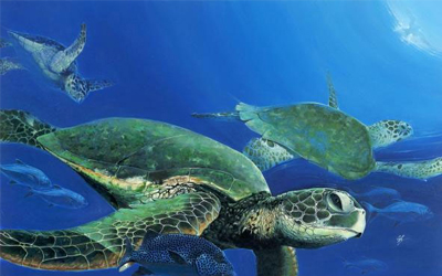 Sea Animals Vocabulary