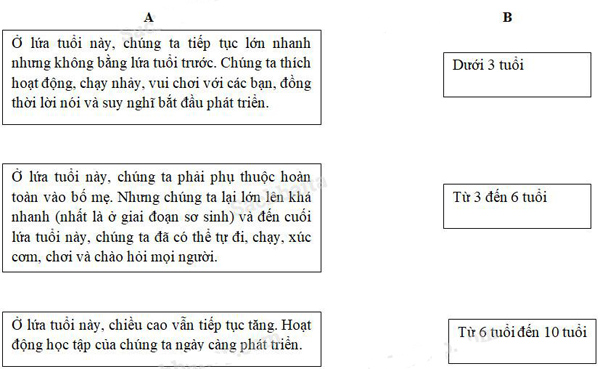 Giải Vở bài tập Khoa học lớp 5 bài 6