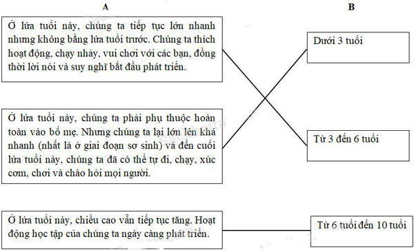 Giải Vở bài tập Khoa học lớp 5 bài 6