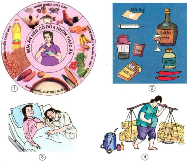 Giải Vở bài tập Khoa học lớp 5 bài 5