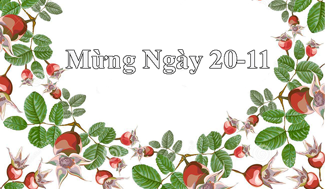 Lời dẫn chương trình văn nghệ 20-11