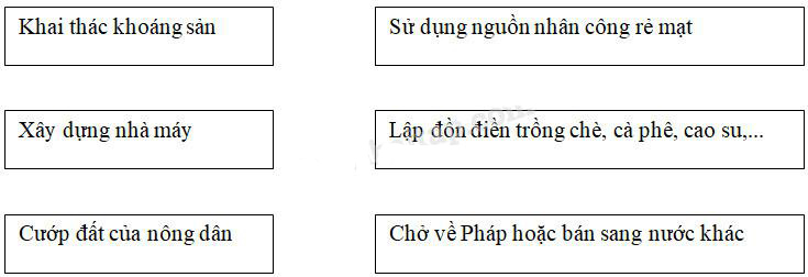 Giải Vở bài tập Lịch sử lớp 5 bài 4