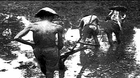 Giải Vở bài tập Lịch sử lớp 5 bài 4