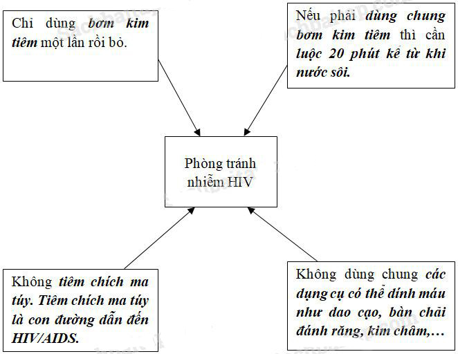 Giải Vở bài tập Khoa học lớp 5 bài 20, 21