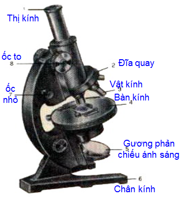 Lý thuyết Sinh học lớp 6 bài 5