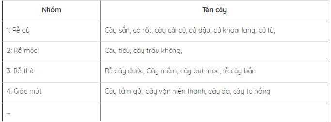 Lý thuyết Sinh học lớp 6 bài 12