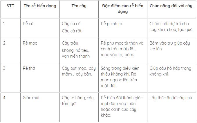 Lý thuyết Sinh học lớp 6 bài 12