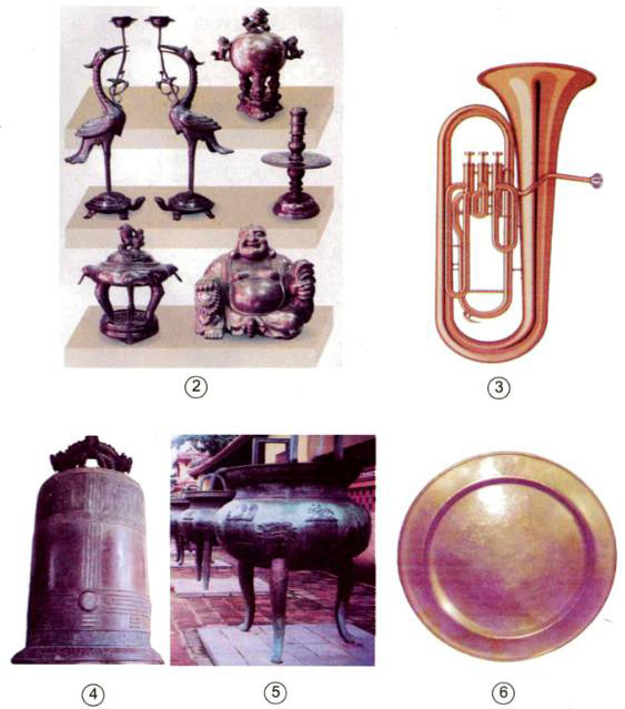 Giải Vở bài tập Khoa học lớp 5 bài 24