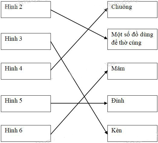 Giải Vở bài tập Khoa học lớp 5 bài 24