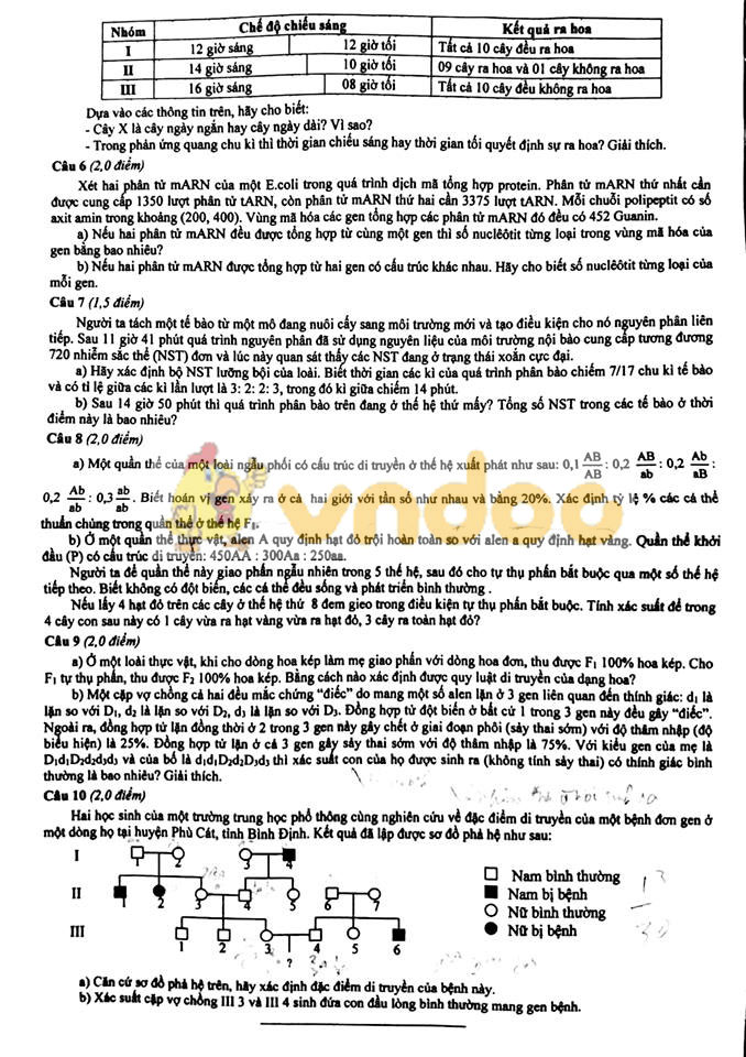 Đề thi chọn học sinh giỏi cấp tỉnh Sinh học 12 năm 2018 - 2019 Sở GD&ĐT Bình Định