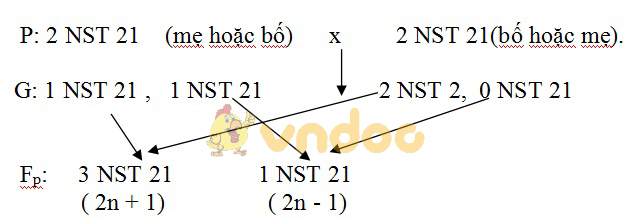 Đề thi học kì 1 lớp 9 môn Sinh học trường THCS Tiên Sơn năm học 2018 - 2019