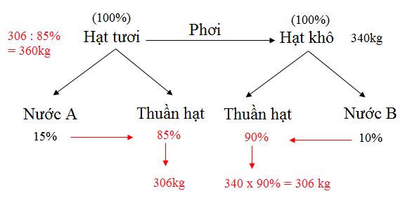 Toán nâng cao lớp 5