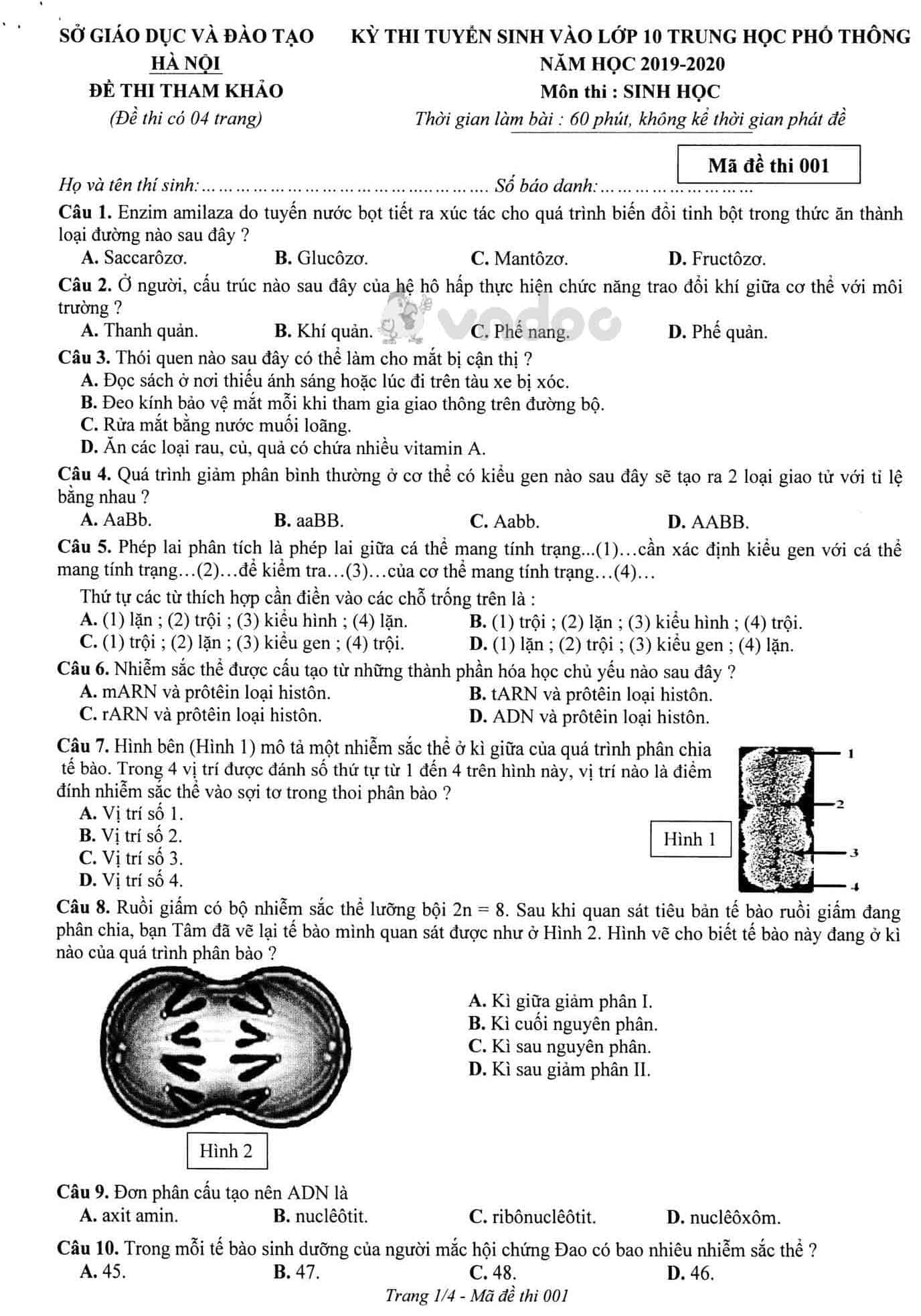 Đề thi tham khảo tuyển sinh vào lớp 10 môn Sinh học Sở GD&ĐT Hà Nội năm học 2019 - 2020