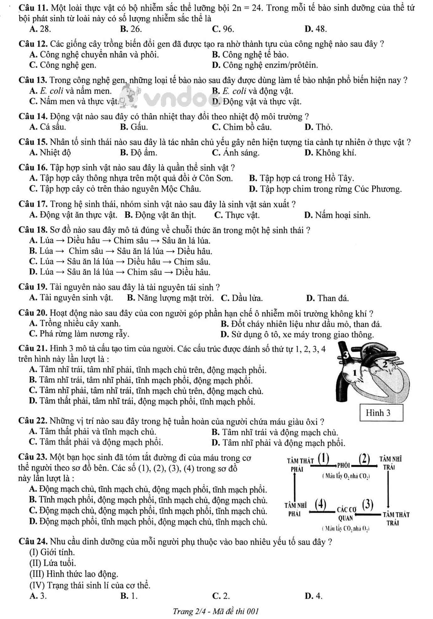 Đề thi tham khảo tuyển sinh vào lớp 10 môn Sinh học Sở GD&ĐT Hà Nội năm học 2019 - 2020