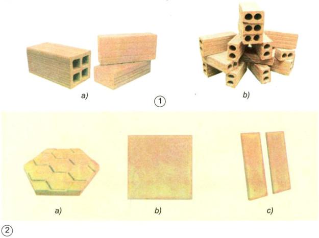 Giải Vở bài tập Khoa học lớp 5 bài 27
