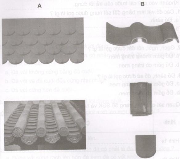 Giải Vở bài tập Khoa học lớp 5 bài 27