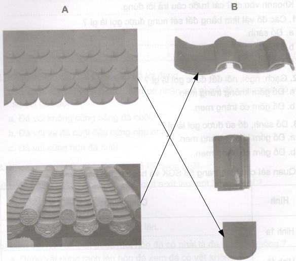 Giải Vở bài tập Khoa học lớp 5 bài 27