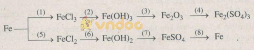 Giải Sách bài tập Hóa học 9 bài 19: Sắt