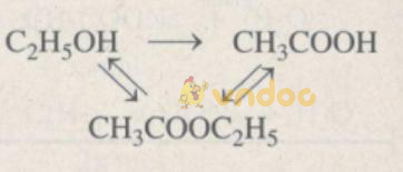 Giải Sách bài tập Hóa học 9 bài 48: Luyện tập: Rượu etylic, axit axetic và chất béo