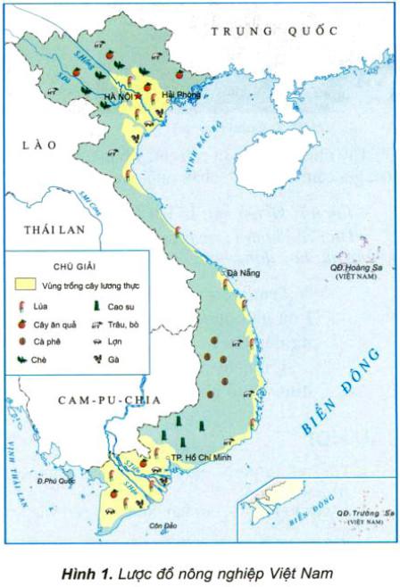 Giải Vở bài tập Địa lý lớp 5 bài 10