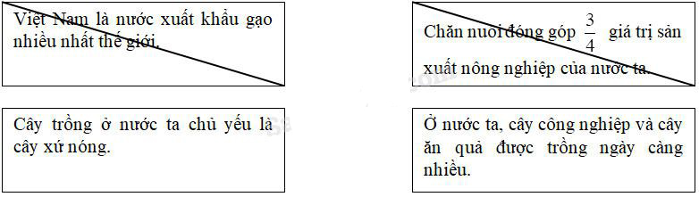 Giải Vở bài tập Địa lý lớp 5 bài 10