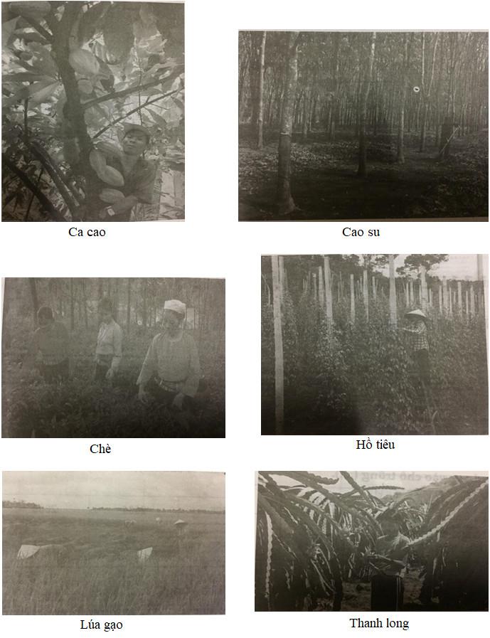 Giải Vở bài tập Địa lý lớp 5 bài 10