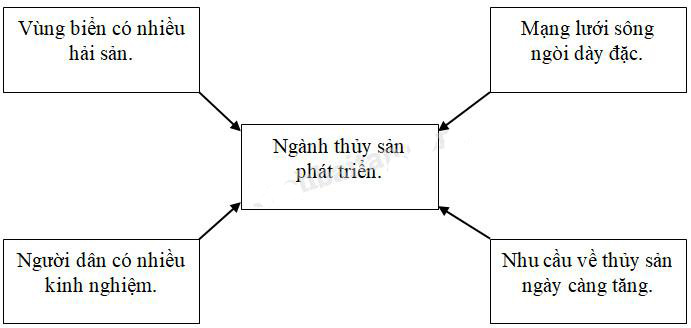 Giải Vở bài tập Địa lý lớp 5 bài 11