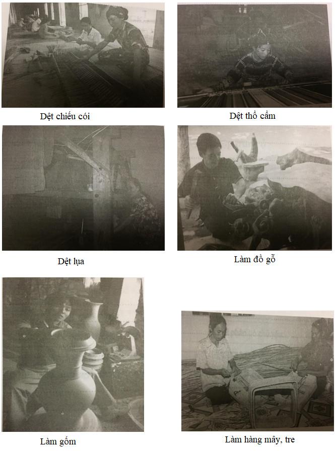 Giải Vở bài tập Địa lý lớp 5 bài 12