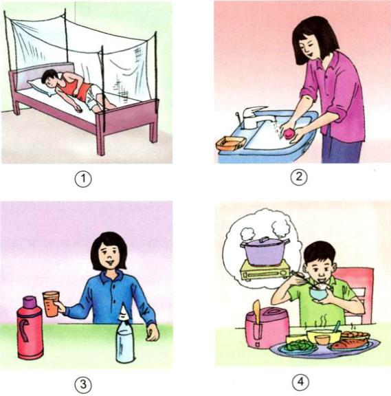 Giải bài tập Khoa học lớp 5 bài 33, 34