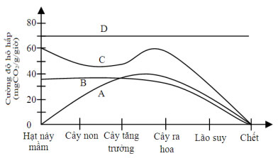 Đề KSCL Sinh học 11 năm 2018 - 2019