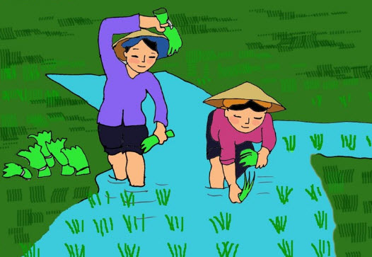 Lập dàn ý Tả một người lao động lớp 5