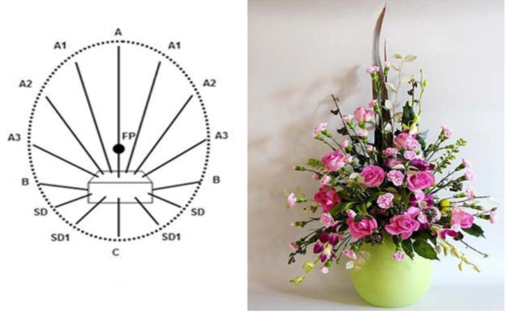 Giải VBT Công nghệ lớp 6 bài 14