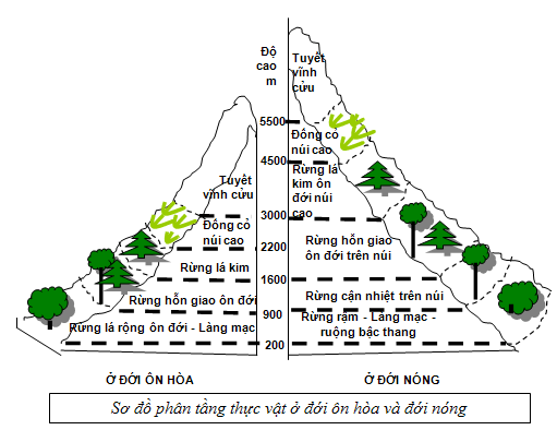 Giải vở bài tập Địa Lý 7 bài 23