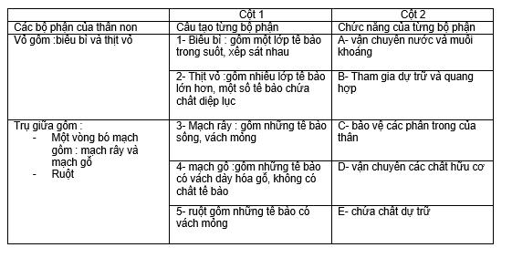 Đề ôn tập học kì 1 môn Sinh học lớp 6