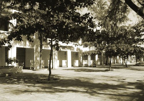 Kể chuyện 10 năm sau em về thăm lại mái trường mà em đang học