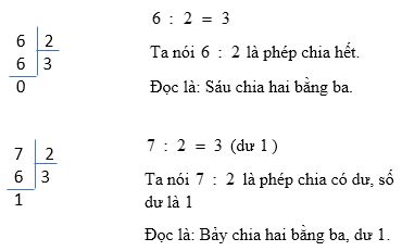 Lý thuyết Phép chia hết và phép chia có dư