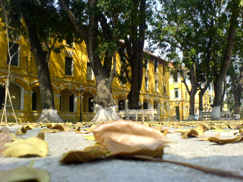 Kể chuyện mười năm sau em về thăm lại mái trường mà em đang học